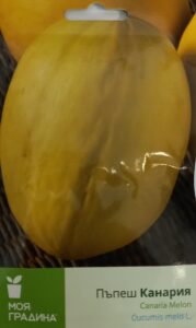 Канария 3гр