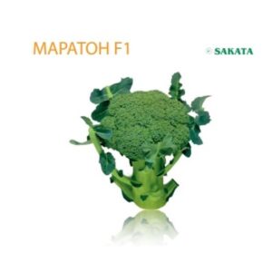 Броколи МАРАТОН F1 60с