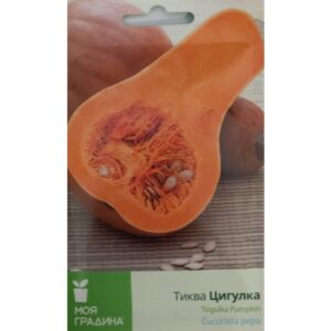 Тиква Цигулка 2гр