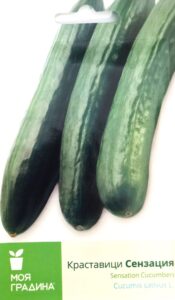 Краставици Сензация-2гр