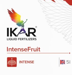 Intense Fruit